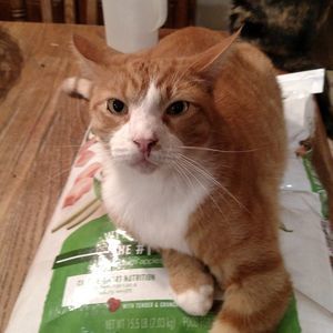 Meet your Posher, Doris